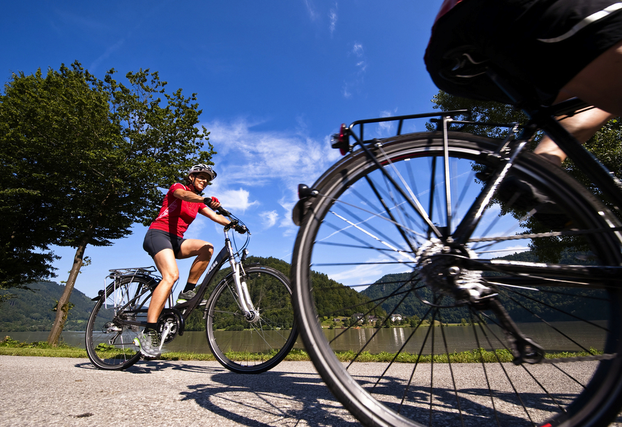 Mit dem Rad fahren Sie entlang des schönen Donauradwegs.