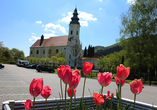 In Engelhartszell beginnt Ihre erste Radtour.