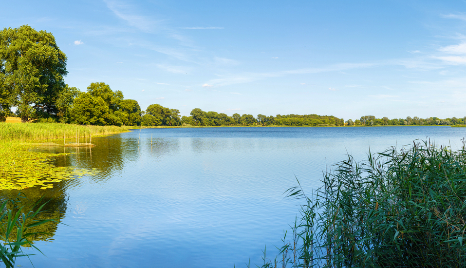 Die Mecklenburgische Seenplatte wartet auf Sie!