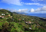 Ein Blick, der bleibt: Der Aussichtspunkt in Montaña La Breña bietet ein Panorama über die Ostküste.