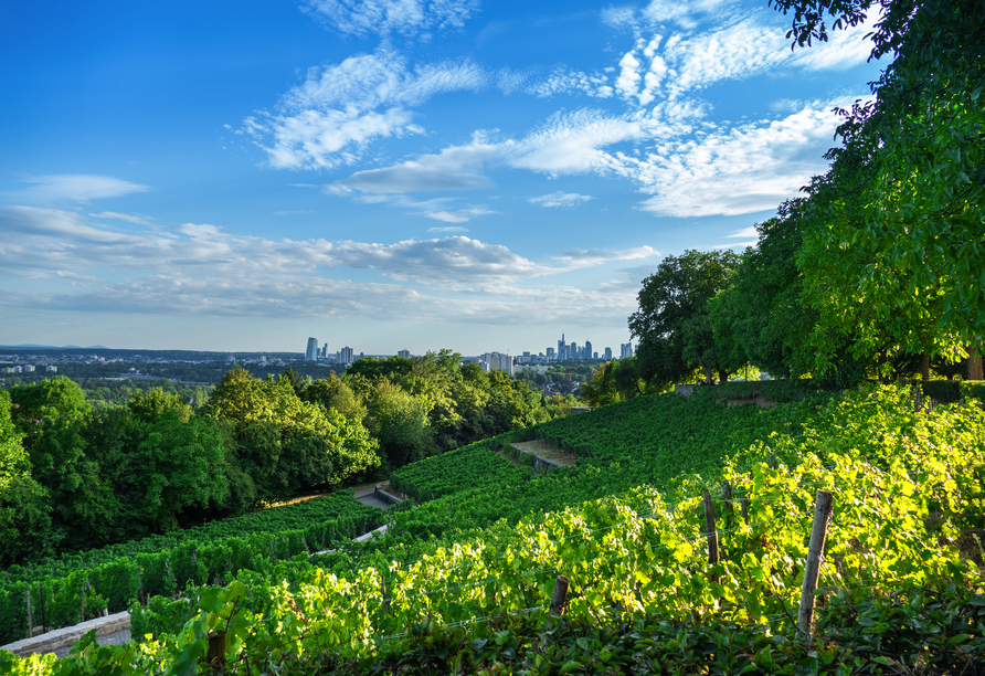 Frankfurts grüner Balkon – lassen Sie den Blick vom Lohrberg, Frankfurts Hausberg, bis zur Skyline schweifen.