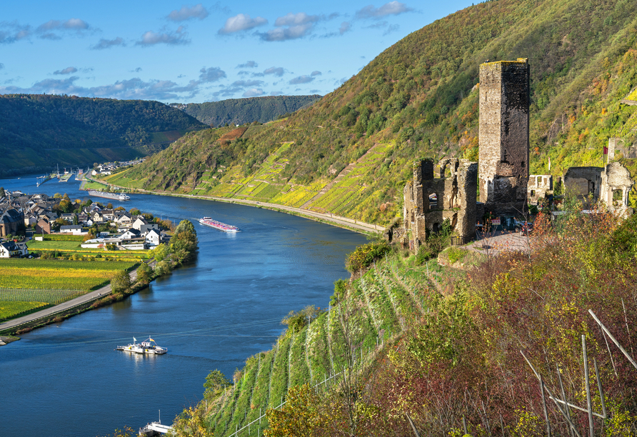 Die Burg Metternich thront über dem Moseltal bei Beilstein.
