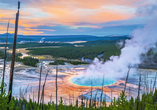 Auch Geysire können Sie im Yellowstone Nationalpark bewundern.