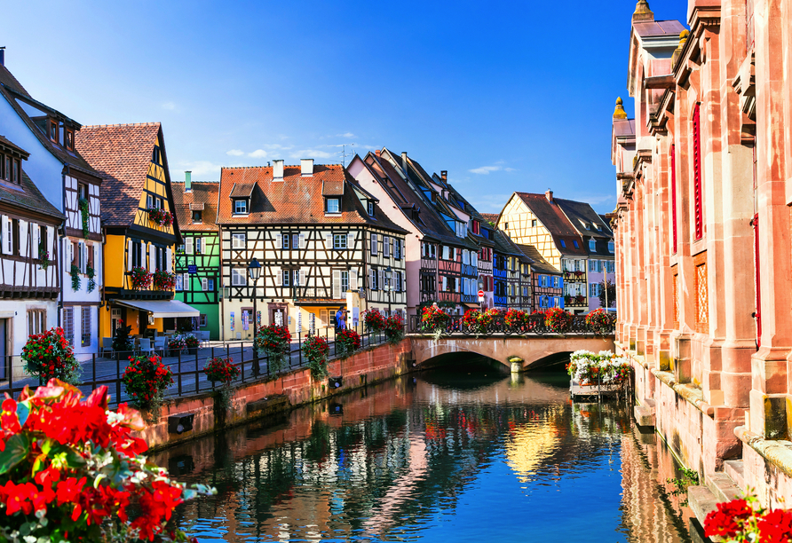 Romantisches Colmar: Wo Weingenuss und Fachwerkkunst aufeinandertreffen.