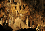 Spannend: Die Tropfsteinhöhle in Rübeland