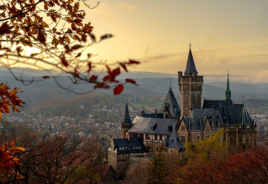 Machen Sie einen Ausflug zum prächtigen Schloss Wernigerode. 