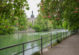 Unter roten Kastanien an der Isar erleben Sie Münchens Naturidylle ganz nah – ein perfekter Ausklang Ihrer Reise.