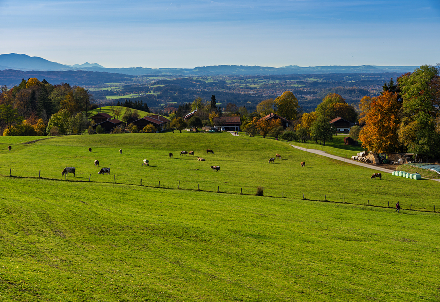 Buchberg bei Bad Heilbrunn – ein Ort der Ruhe mit Weitblick und einem Gefühl von echter Voralpenfreiheit.