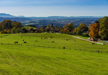 Buchberg bei Bad Heilbrunn – ein Ort der Ruhe mit Weitblick und einem Gefühl von echter Voralpenfreiheit.