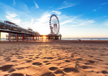 Erleben Sie Urlaubsfeeling pur: Am Strand von Den Haag erwarten Sie Meeresrauschen, Sand unter den Füßen und das ikonische Riesenrad.