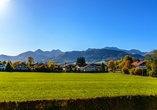 Radeln mit Aussicht – in Bernau treffen sanfte Uferwege auf imposante Alpengipfel.