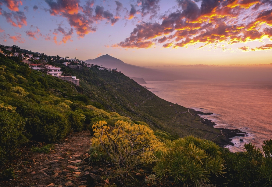 Willkommen zu einer unvergesslichen Reise auf Teneriffa, wo atemberaubende Küstenlandschaften und endlose Traumausblicke, wie auch auf den Vulkan Teide, auf Sie warten.