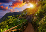 Erwandern Sie die faszinierende Insel São Miguel und erleben Sie unvergleichliche Eindrücke.