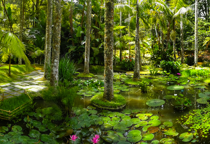 Der Eintritt zum Terra Nostra Garden verschafft Ihnen zahlreiche Einblicke in den pittoresken botanischen Garten.
