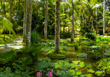 Der Eintritt zum Terra Nostra Garden verschafft Ihnen zahlreiche Einblicke in den pittoresken botanischen Garten.