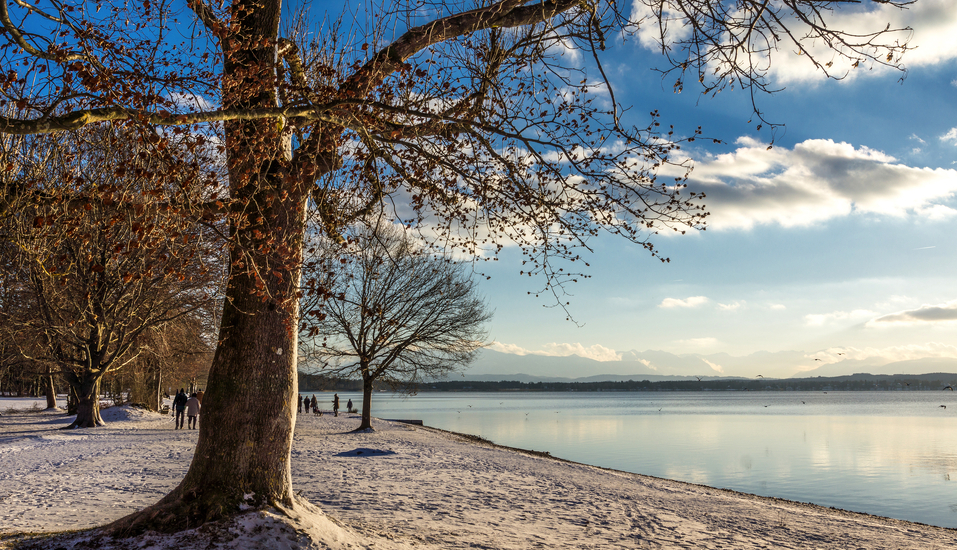 Freuen Sie sich auf den winterlichen Starnberger See.