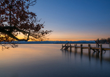 Willkommen am Starnberger See!