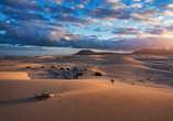 Freuen Sie sich auch auf einen Ausflug zu den beeindruckenden Sanddünen des Naturparks Corralejo.
