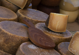Sie dürfen den typisch kanarischen Majorero-Käse probieren.