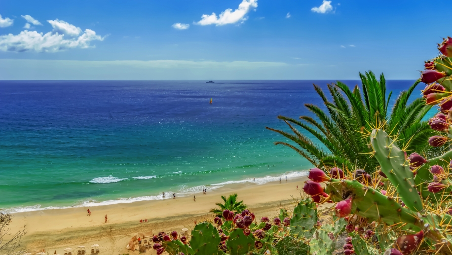 Ihr Urlaubshotel empfängt Sie in traumhafter Lage am Strand Playa de Esquinzo.