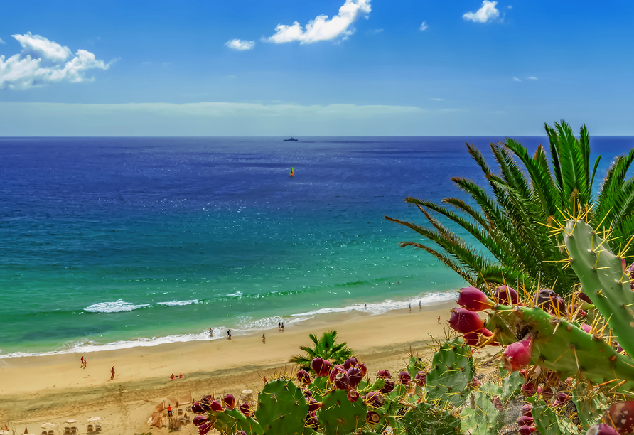 Ihr Urlaubshotel empfängt Sie in traumhafter Lage am Strand Playa de Esquinzo.