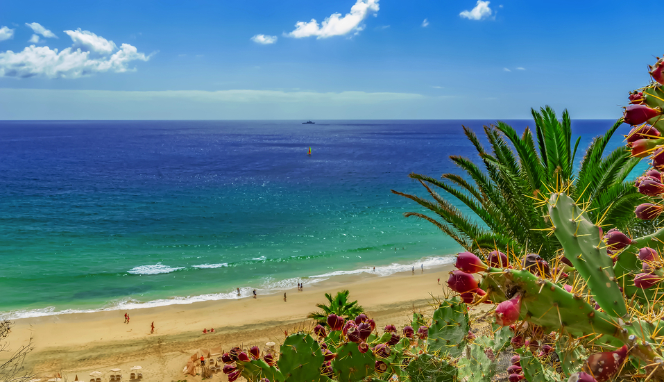 Ihr Urlaubshotel empfängt Sie in traumhafter Lage am Strand Playa de Esquinzo.