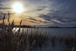 Der Zwenkauer See lädt zu ausgedehnten Winterspaziergängen ein.