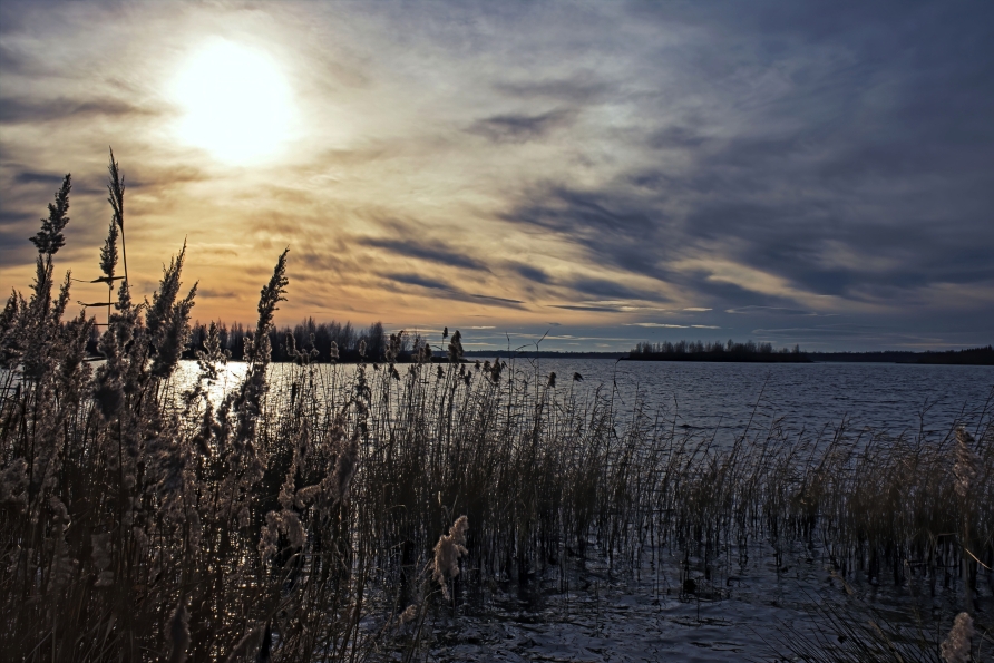Der Zwenkauer See lädt zu ausgedehnten Winterspaziergängen ein.