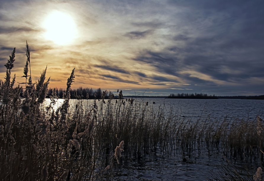 Der Zwenkauer See lädt zu ausgedehnten Winterspaziergängen ein.