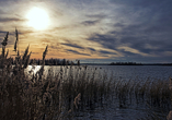Der Zwenkauer See lädt zu ausgedehnten Winterspaziergängen ein.