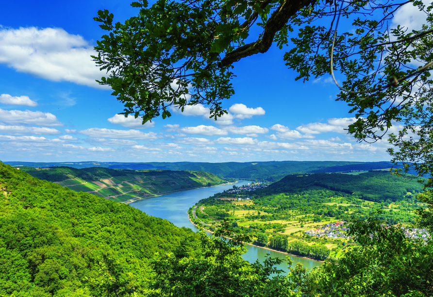 Blick auf die malerische Rheinschleife am Mittelrhein