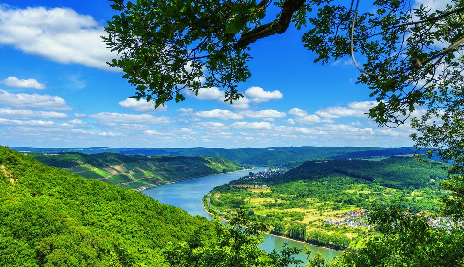 Blick auf die malerische Rheinschleife am Mittelrhein