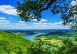 Blick auf die malerische Rheinschleife am Mittelrhein