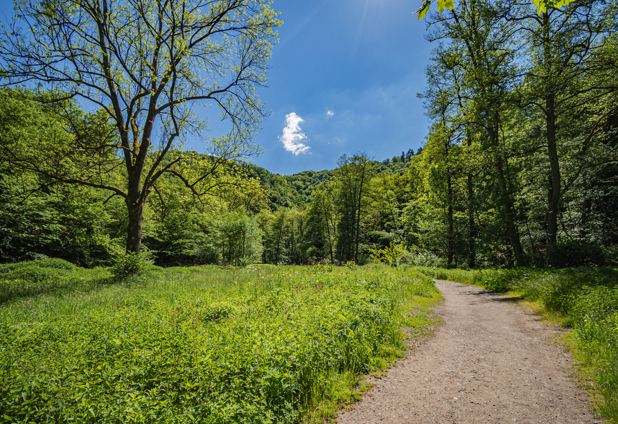 Traumhafte Wanderwege gibt es an der Mosel.