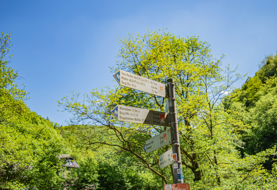 Erwandern Sie die Region. Viele Wanderwege starten direkt an Ihrem Landhotel.