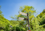 Erwandern Sie die Region. Viele Wanderwege starten direkt an Ihrem Landhotel.
