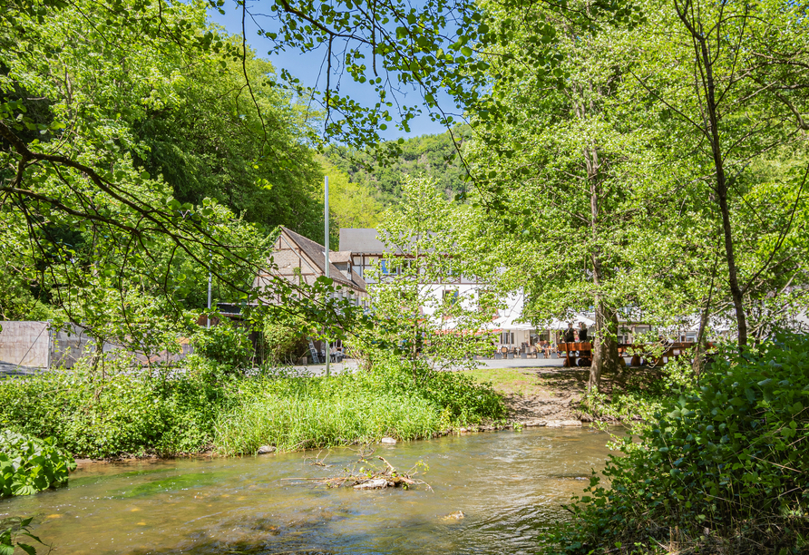 Mitten im Grünen begrüßt Sie Ihr Landhotel Ringelsteiner Mühle.