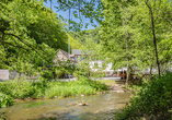 Mitten im Grünen begrüßt Sie Ihr Landhotel Ringelsteiner Mühle.