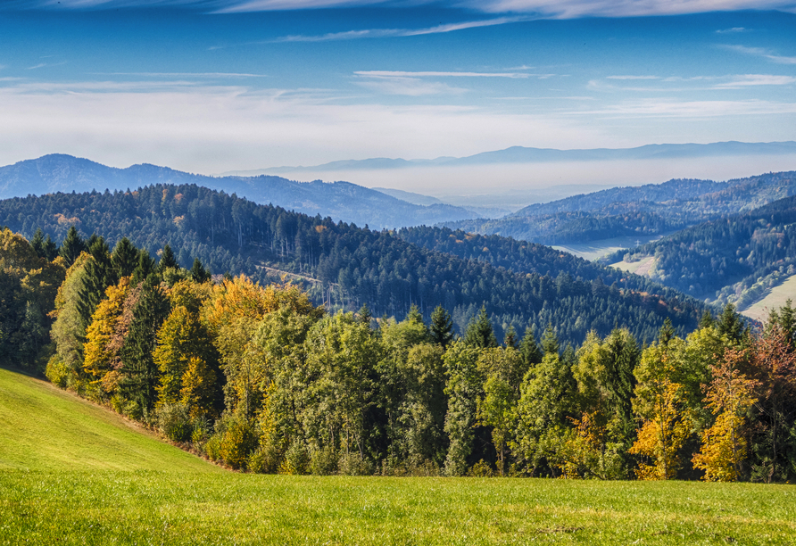 Auch der nahegelegene Schwarzwald bietet sich für aufregende Wanderungen an.