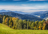 Auch der nahegelegene Schwarzwald bietet sich für aufregende Wanderungen an.