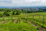 Die wunderschöne Umgebung um Weil am Rhein und Haltingen