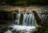 Wasserfall in der Dr. Vogelgesang-Klamm