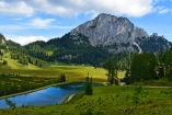 Die traumhafte Natur im Nationalpark Kalkalpen 