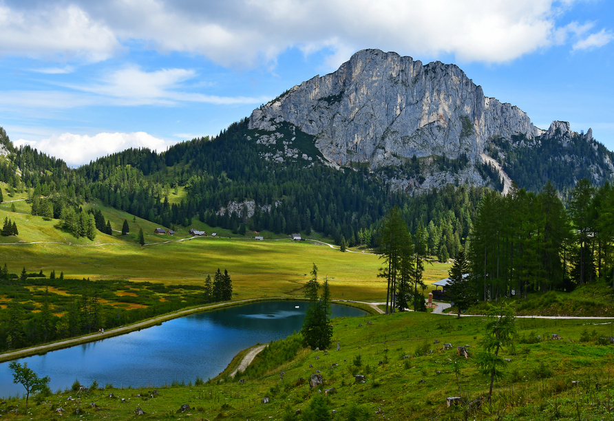 Die traumhafte Natur im Nationalpark Kalkalpen 