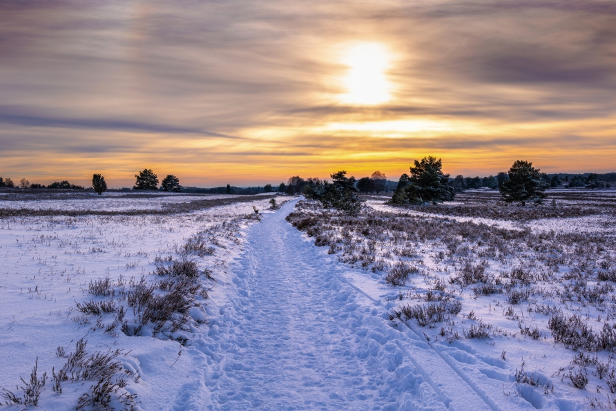 Auch im Winter strahlt der Naturpark Lüneburger Heide eine magische Atmosphäre aus.