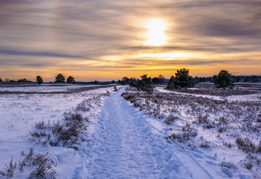 Auch im Winter strahlt der Naturpark Lüneburger Heide eine magische Atmosphäre aus.