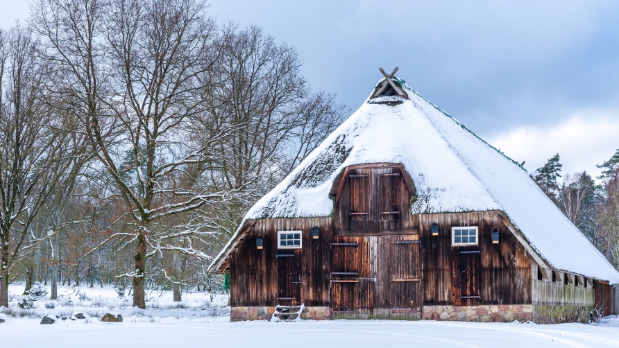Idyllische Lüneburger Heide im Schneemantel