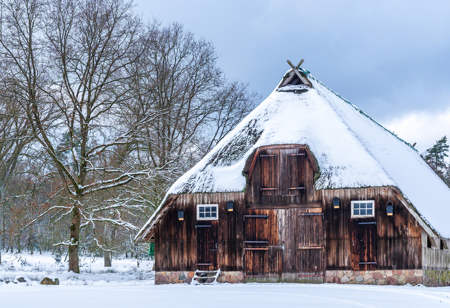 Idyllische Lüneburger Heide im Schneemantel