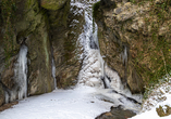 Wandern Sie zum Wasserfall im Tiefenbachtal nahe Bernkastel-Kues und lassen Sie sich von diesem Naturschauspiel verzaubern.