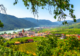 Erleben Sie die Idylle der Wachau, wie hier in Weißenkirchen.